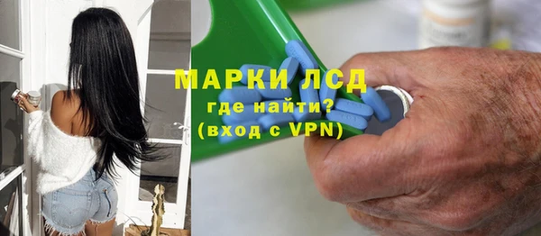 прущие грибы Абинск