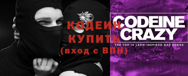 молекула духа Осинники