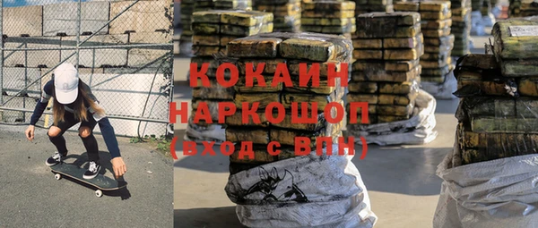 прущие грибы Абинск