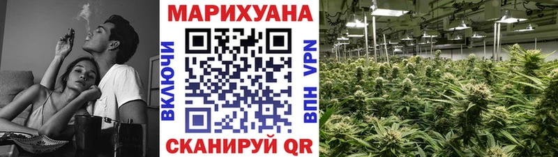 Шишки марихуана сатива Калач